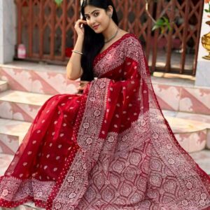 Banarasi Motif Skin Print Saree